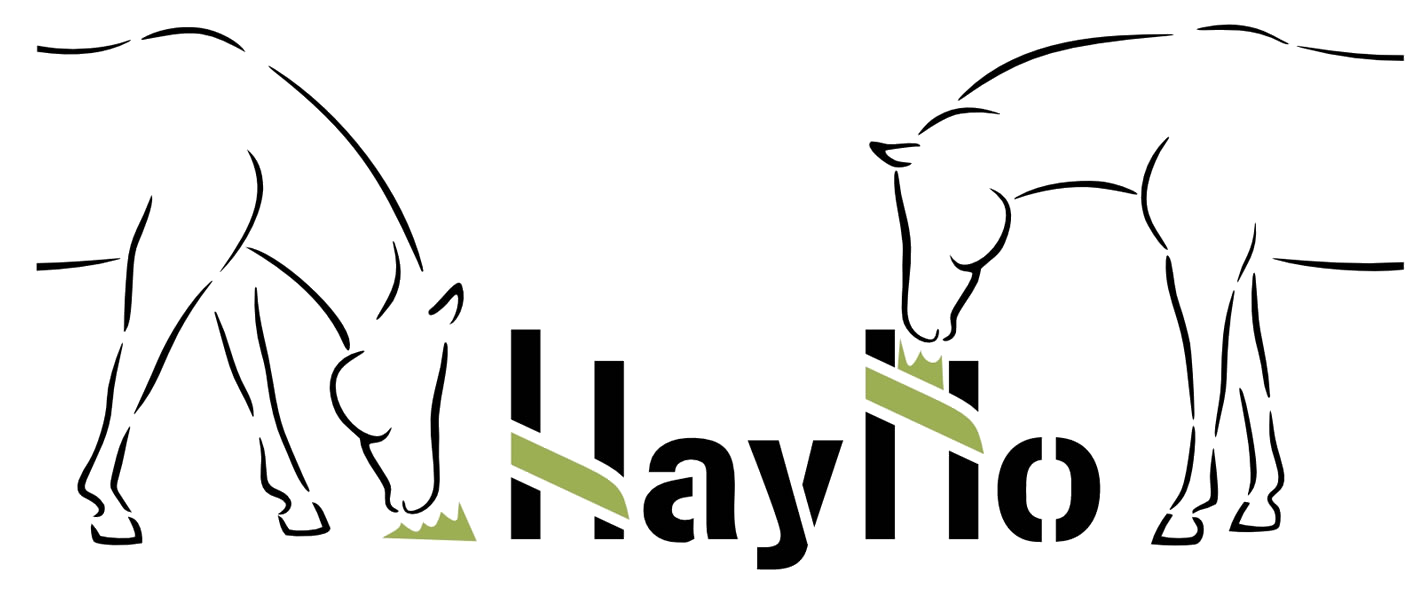 HayHo Logo